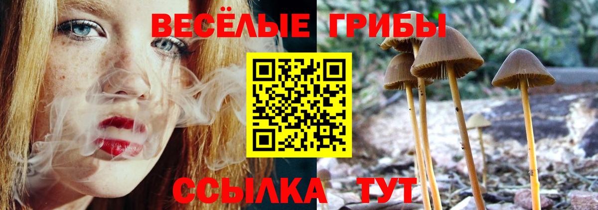 Псилоцибиновые грибы GOLDEN TEACHER Волгодонск
