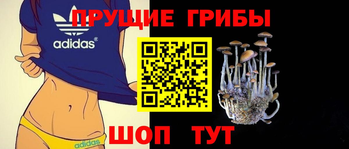 Галлюциногенные грибы мухоморы  Вход с VPN  Волгодонск  Галлюциногенные грибы Magic Shrooms 